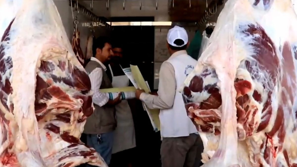 حكومة ذي قار تستغيث بالحكومة المركزية بسبب ارتفاع اعداد الاصابات بمرض الحمى النزفية