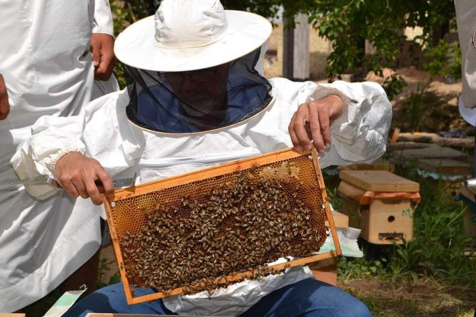 57621-033120202204385e83944632c44.jpg