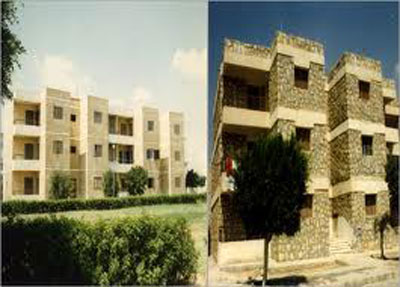 5d10d5cc69947.jpg