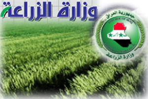 5d11db7f7698f.jpg