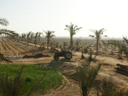 5d11fcd88b703.jpg