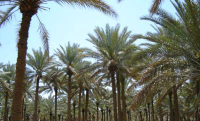 5d120412796c9.jpg