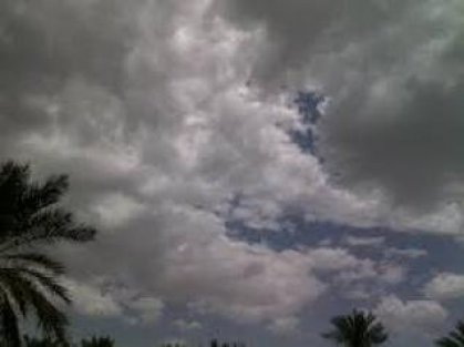 5d14f2936fba0.jpg