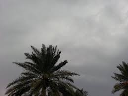 5d14f2c8ecdf1.jpg