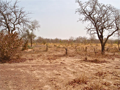 5d1c5d569e92b.jpg