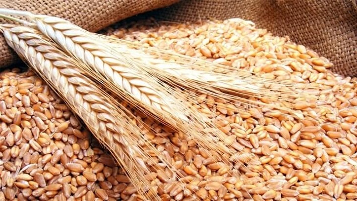 عبد المهدي يوجه بعدم السماح بنقل الحنطة المحلية بين المحافظات