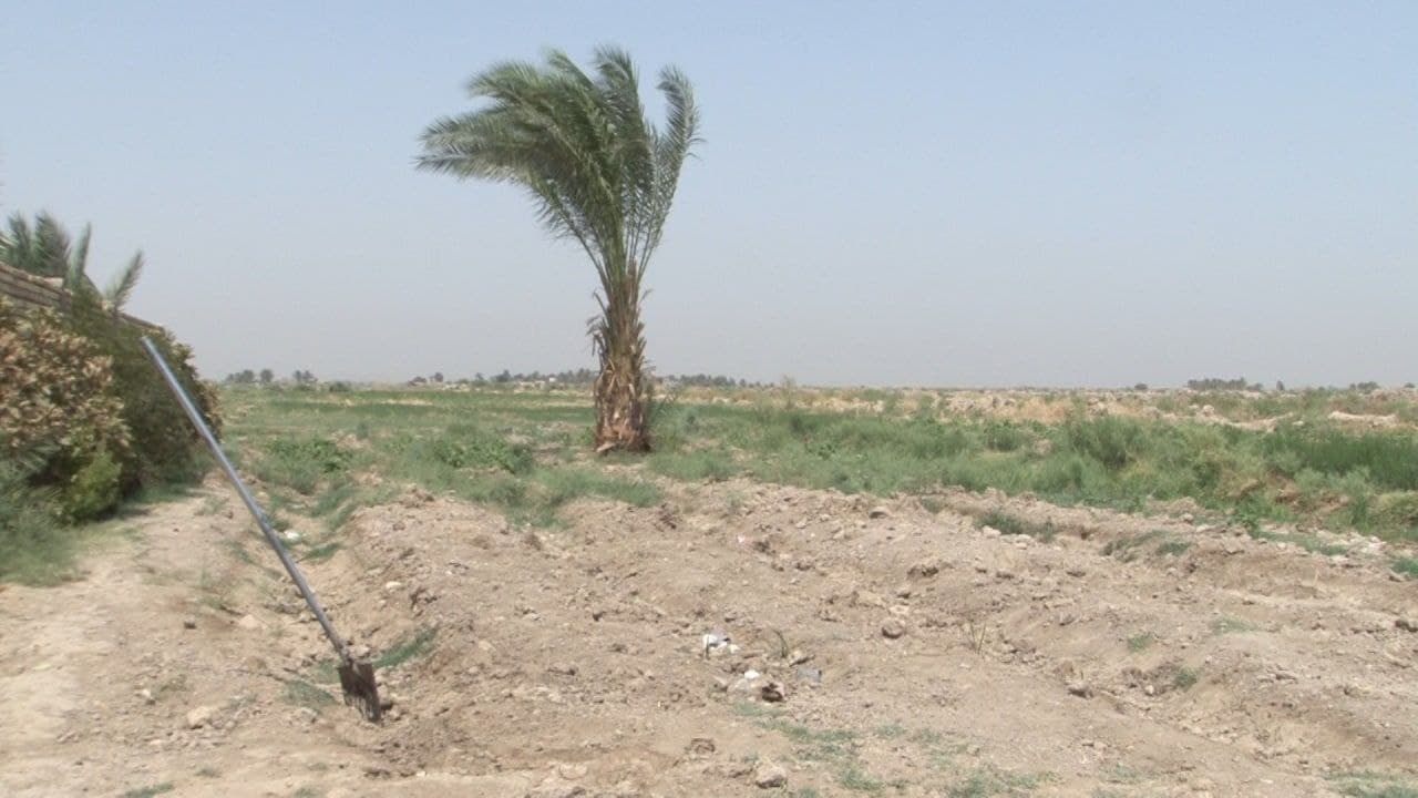 63360-0525202111212760acb387996c8.jpg