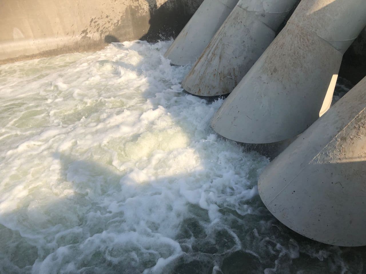 64879-0826202111265761275051dc760.jpg