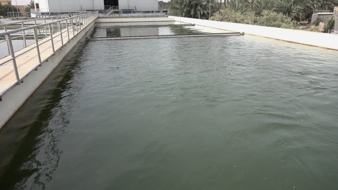 68227-041020221511086252c95c9bde5.jpg