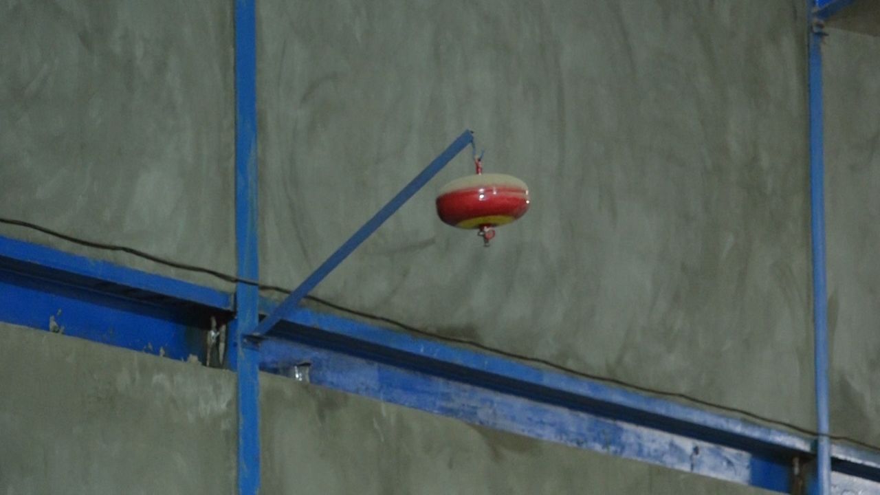 69921-0803202211475662ea363c188de.jpg