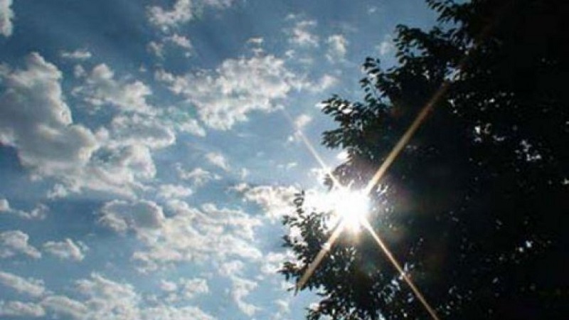 70462-09102022145201631c7a611dc35.jpg