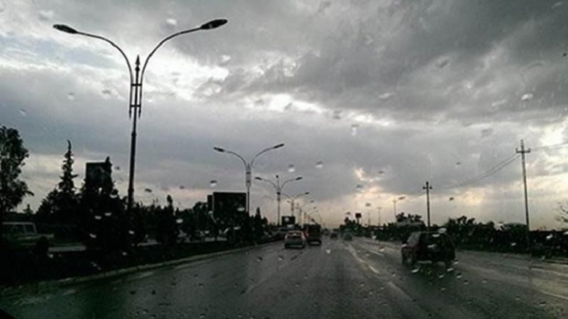 77393-121320231059106579644e9ff41.jpg
