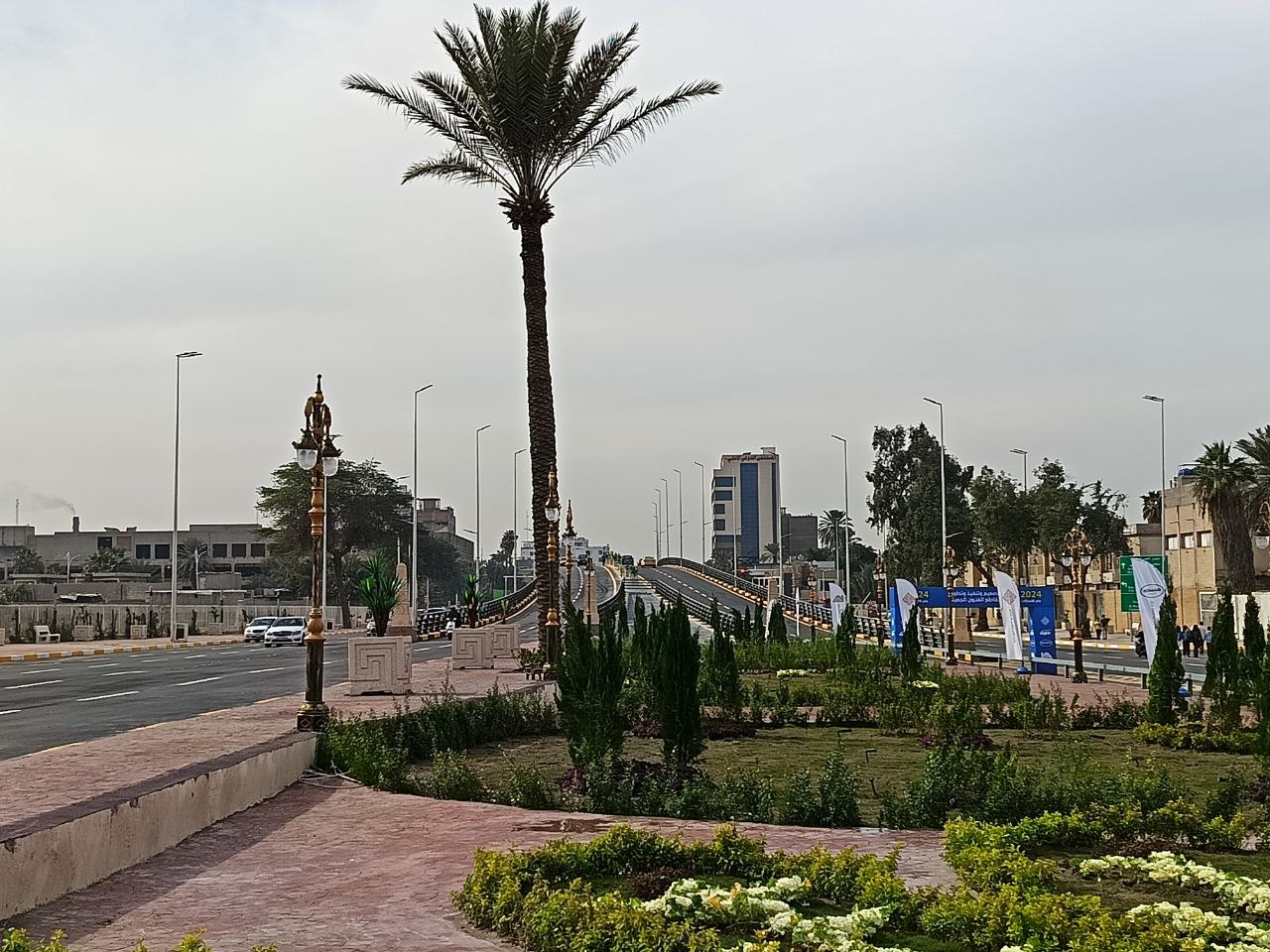 77961-0121202412013065acdd6a5abba.jpg