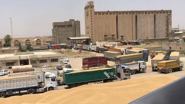 الشركة العامة للحبوب تعلن إستلامها ما يقرب من 1.6 مليون طن من الحنطة