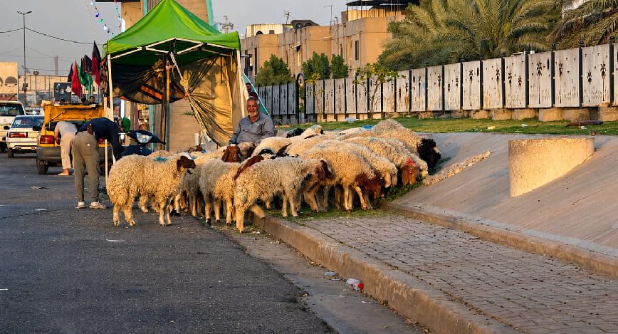 قضاء الكوت في واسط يعلن محاسبة عمليات الجزر العشوائي في الاحياء السكنية