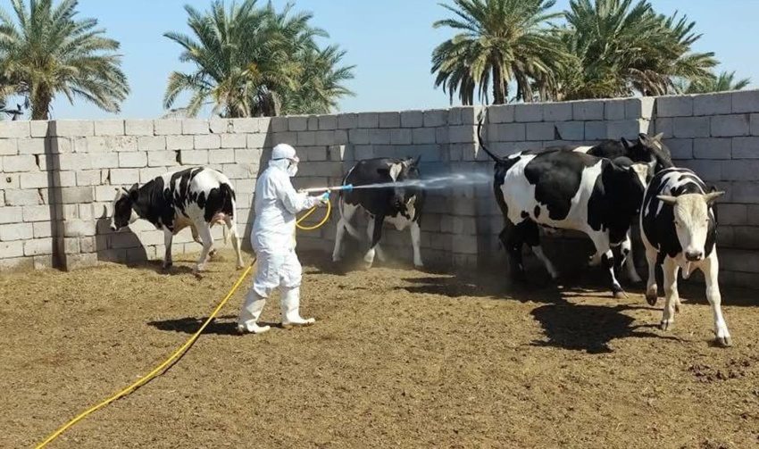 الصحة تعلن تسجيل 145 اصابة بالحمى النزفية منذ بداية العام الجاري