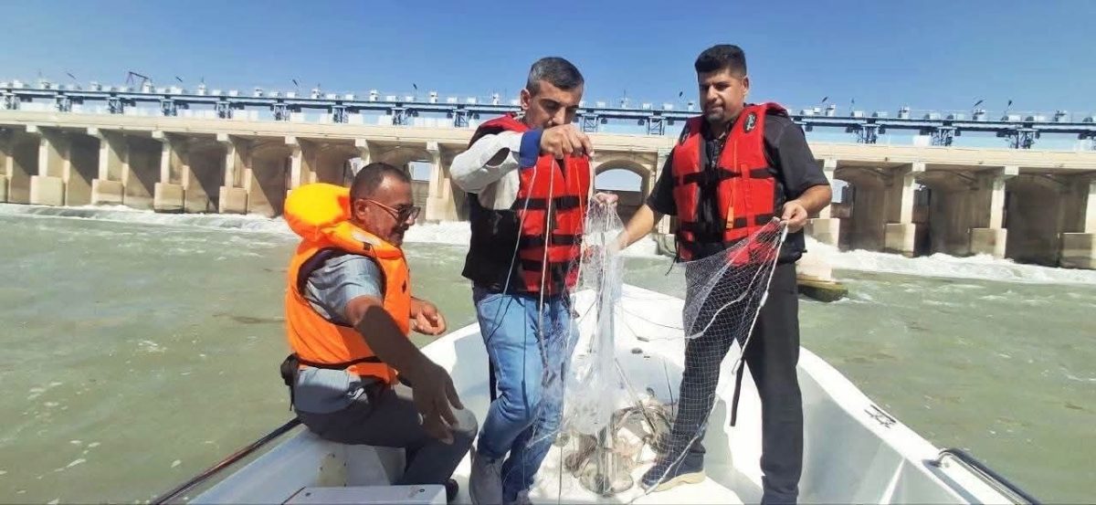 صيادو واسط يشكون من سمك السلور لضربه القطاع السمكي في المحافظة
