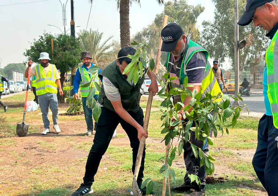 أمانة بغداد تحدد موعدا لإنطلاق حملة التشجير الخريفية في عموم مناطق العاصمة