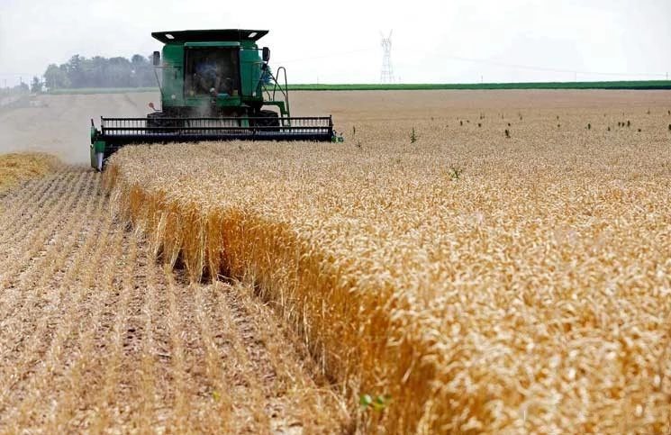 مجلس محافظة الديوانية يعلن عن رفع توصية ومطالبة بزيادة الخطة الزراعية إلى 750 ألف دونم
